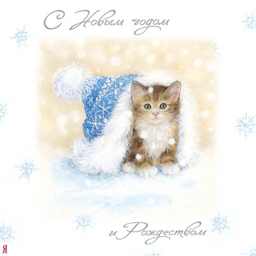 №33, Азер Эхтибаров, Москва, Россия №33, Азер Эхтибаров, Москва, Россия