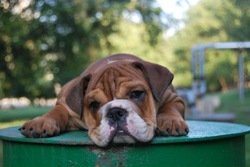 Анна Ельцина | Харьков