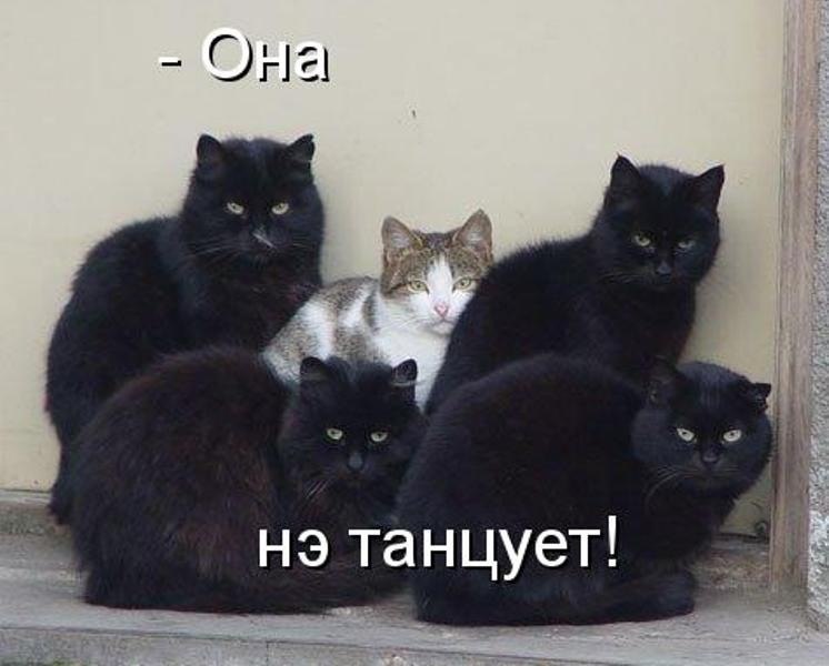 Сергей Вольский | Санкт-Петербург