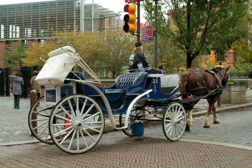 Дмитрий Ершов | Москва