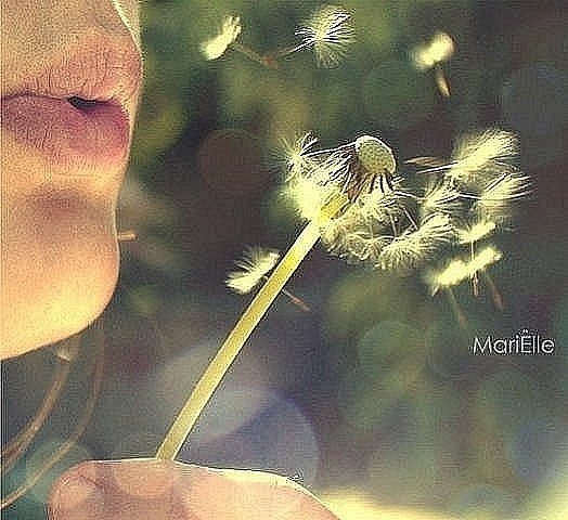 №62, Екатерина Кочешкова, 17 лет, Тверь №62, Екатерина Кочешкова, 17 лет, Тверь