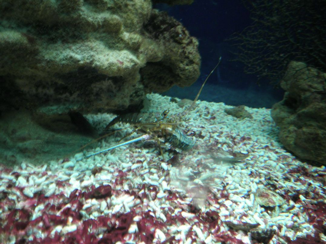 Настюша Мосина | Москва