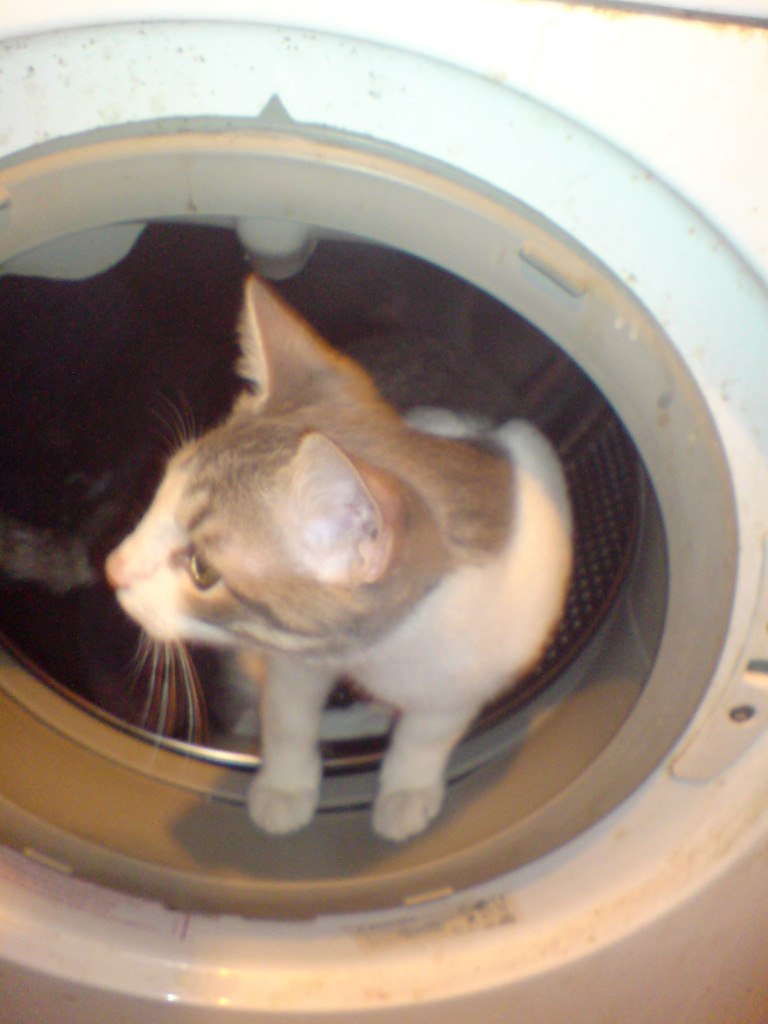 Наталия Яценко | Санкт-Петербург