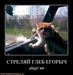 Андрей Казанков фотография #31 (источник - https://vk.com/id46462886)