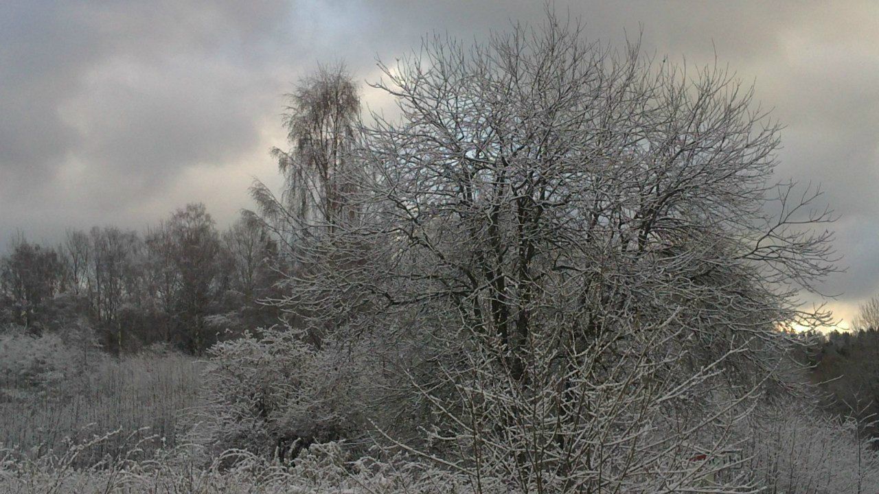 Александр Попов | Петрозаводск