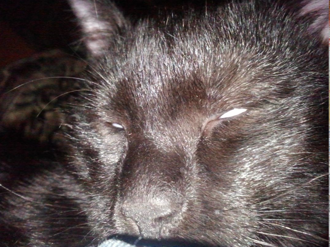 Алексей Загородний ٠•●๑۩۩๑●•٠ | Москва