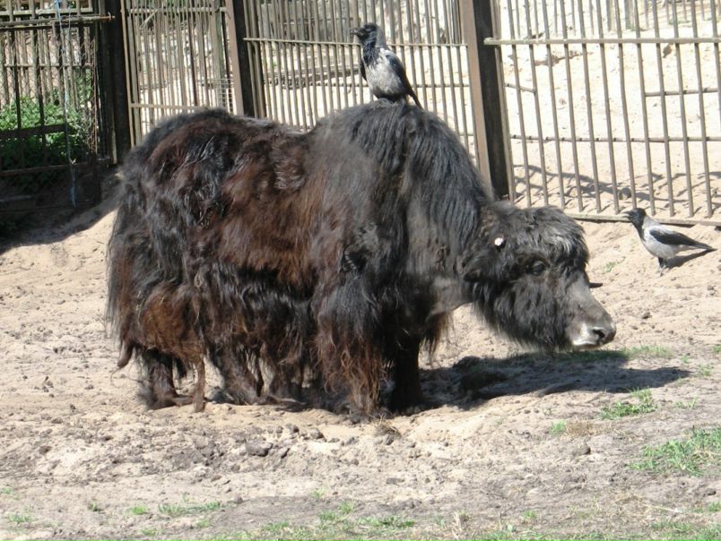 №8, Александра Бабчинска, 36 лет, Рига, Латвия №8, Александра Бабчинска, 36 лет, Рига, Латвия