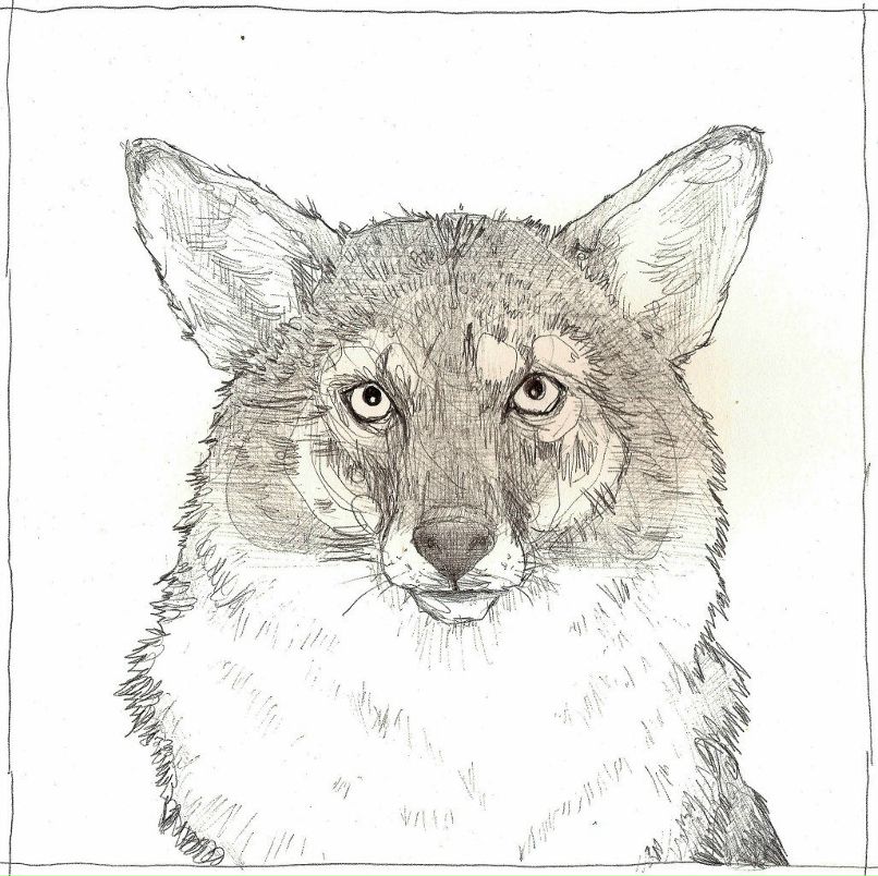 Аделя Сушко | Волгоград