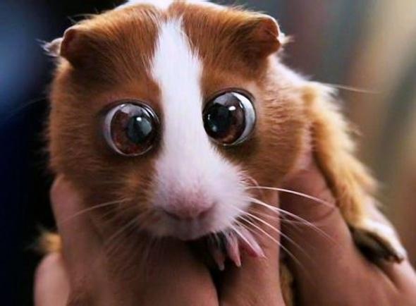 №9, Александр Кудин, 37 лет, Красноярск №9, Александр Кудин, 37 лет, Красноярск