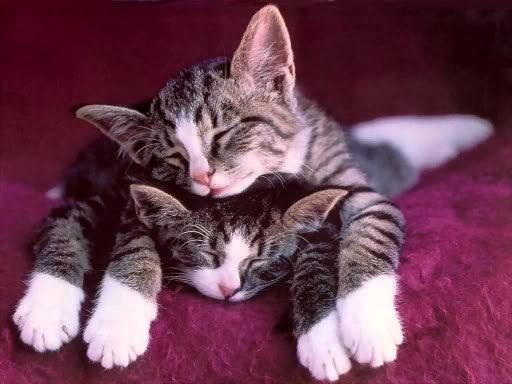 Оксана Жакина | Санкт-Петербург