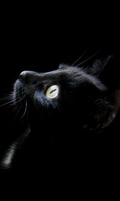 Анюта Михайлова | 