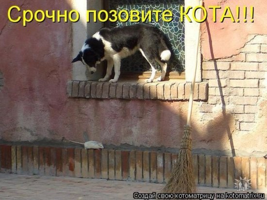 Лидия Пронина | Санкт-Петербург