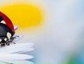 Каролина Тарасенко | Выгода