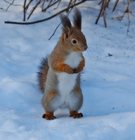 Алексей Нефедов Алексеевич | Москва