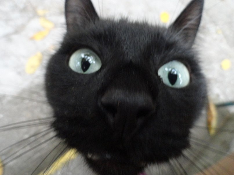 Екатерина Потёмкина | Москва