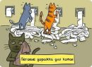 №38 Рыська Гонщик : профиль, фото, статус - ВКонтакте