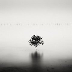 Игорь Забродин | Челябинск