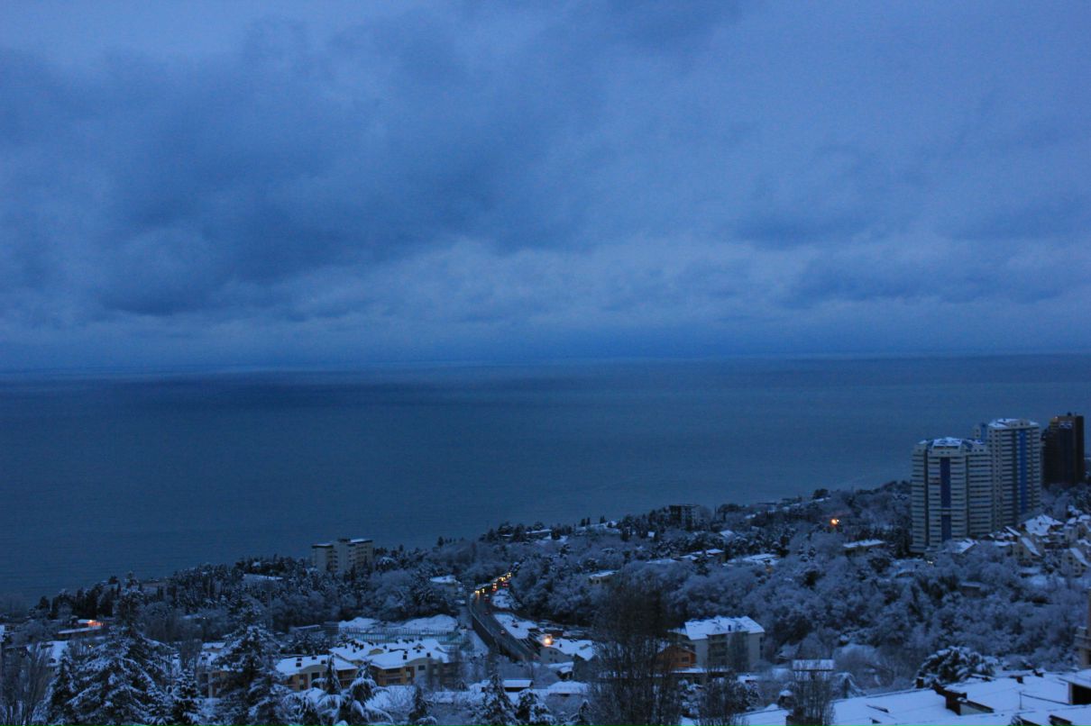 Миша Тихолиз | Москва