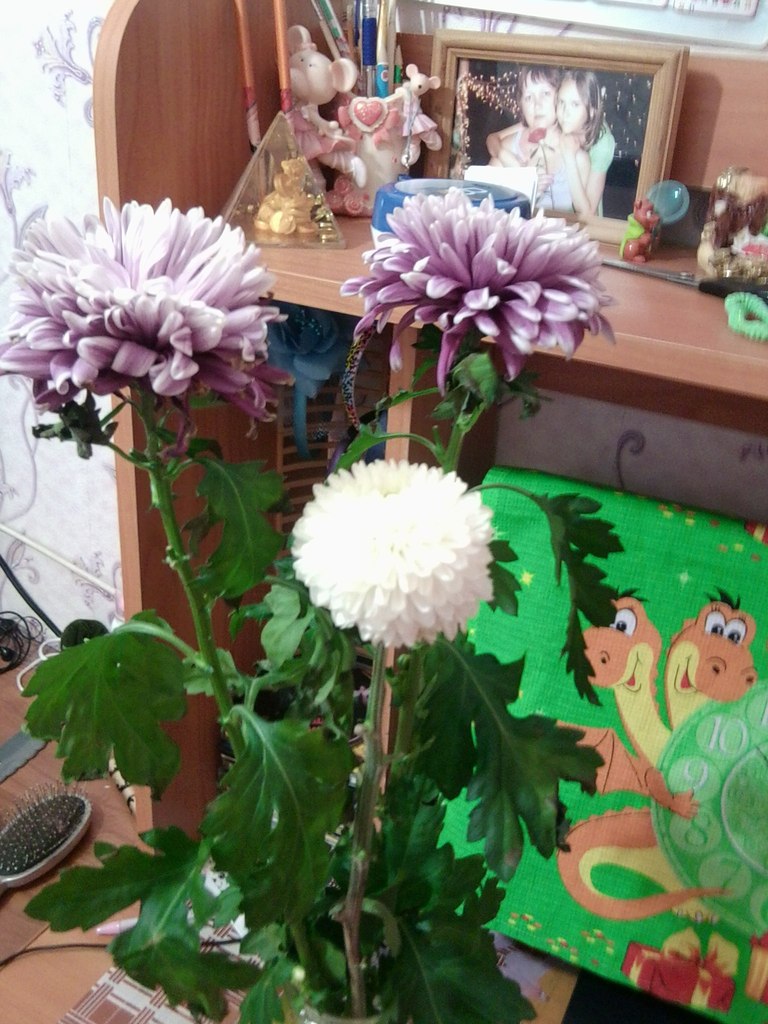 Елена Степанова | Салехард