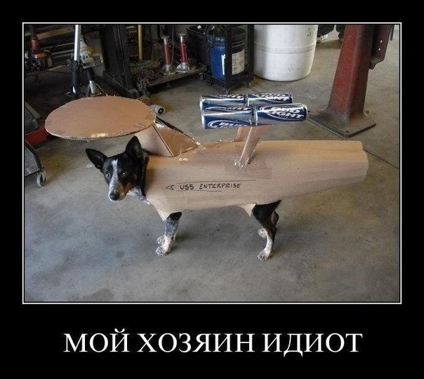 Влада Литвиненко | Днепр (Днепропетровск)