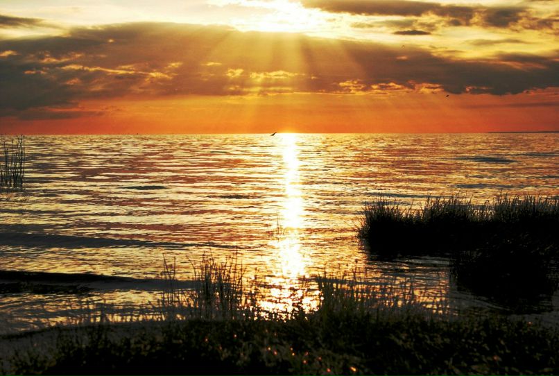 Юра Марков Князь Lorenzo | Санкт-Петербург