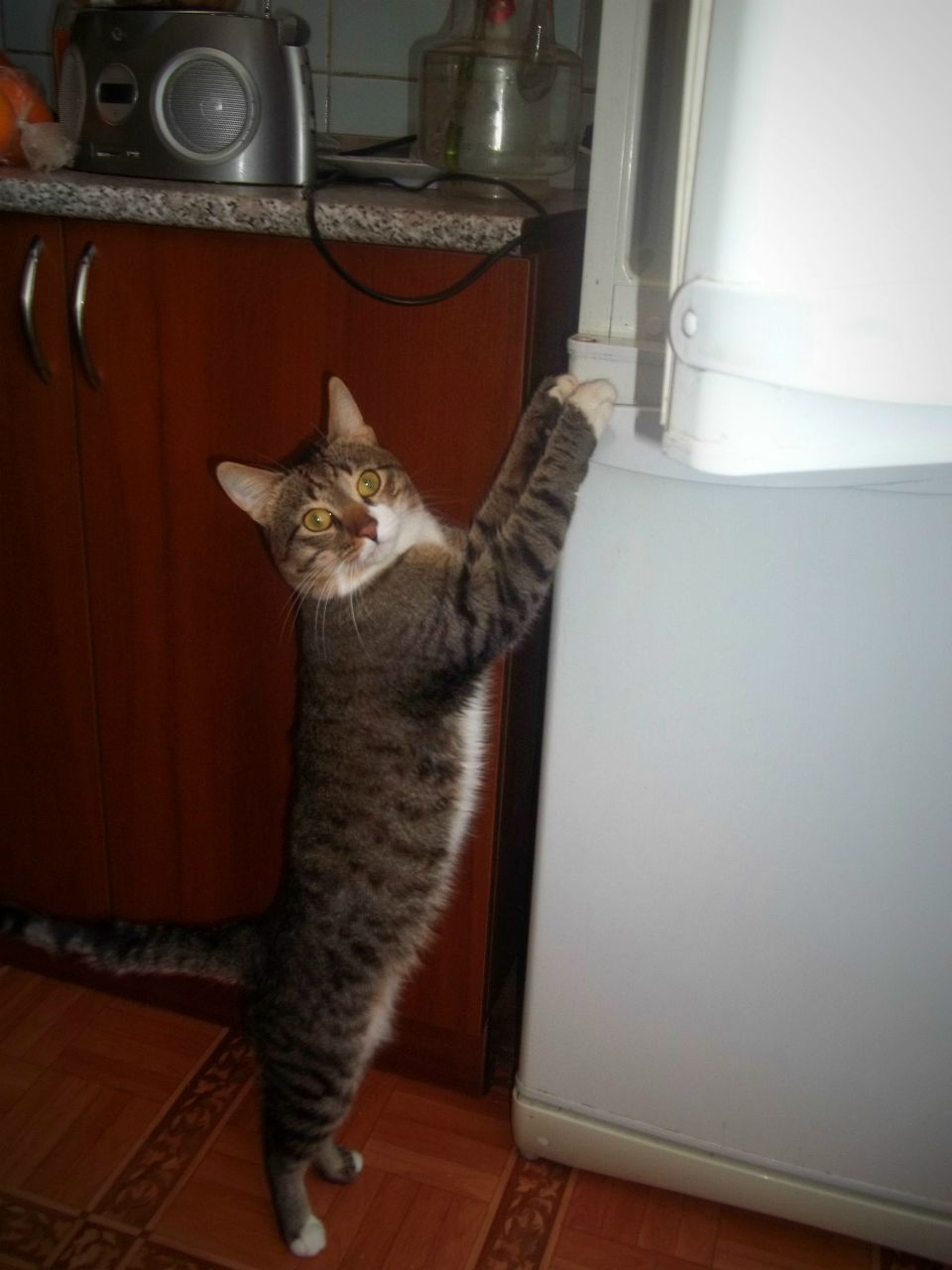 Игорь Куликов | Волгоград