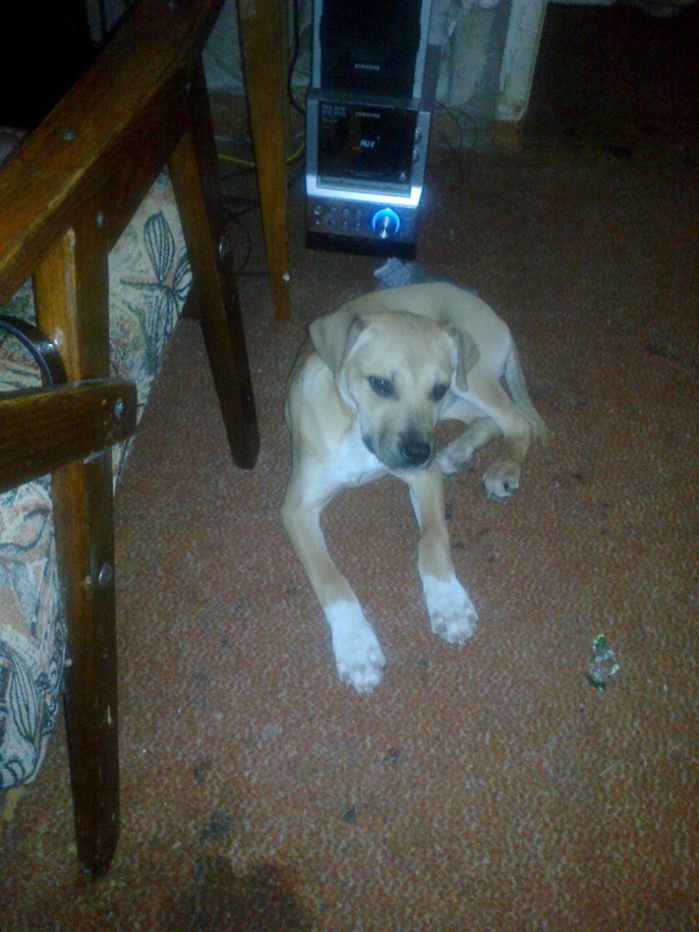 Сергей Коробов | Полтава