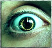 Виталик Шестириков | Харьков