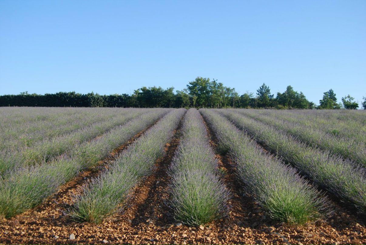 Оля Панина | Москва