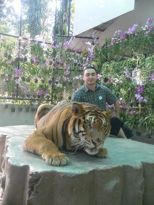 Tevan Romero | Chicago