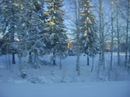 Фотография Сорокина Дмитрия
