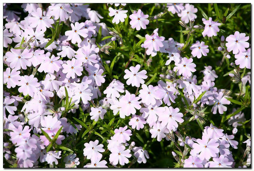 Ксения Истомина | Москва