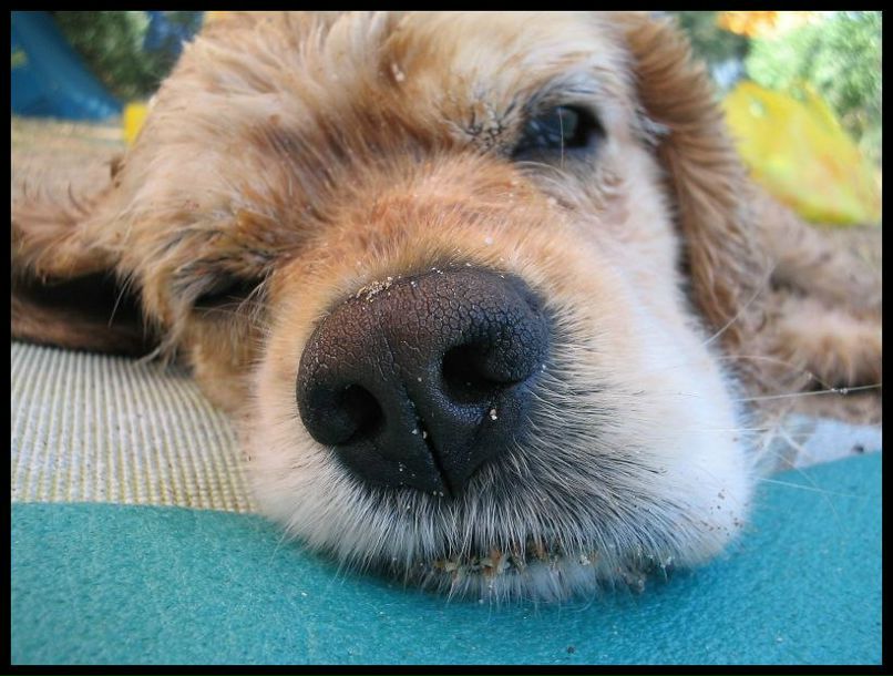 Евгений Тишенко | Киев