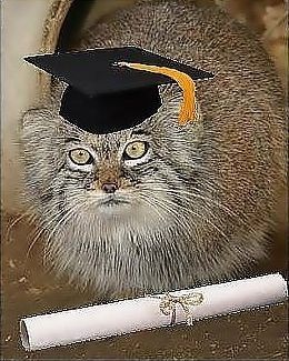 №165, Ростислав Федотов, 37 лет, Санкт-Петербург №165, Ростислав Федотов, 37 лет, Санкт-Петербург