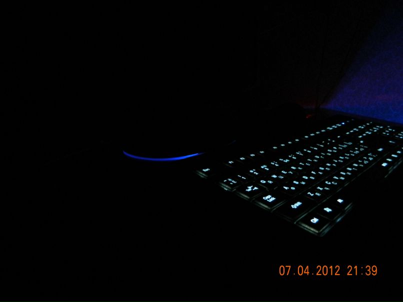 Игорь Шечев ˆĞŘĨŽˆ | Сыктывкар