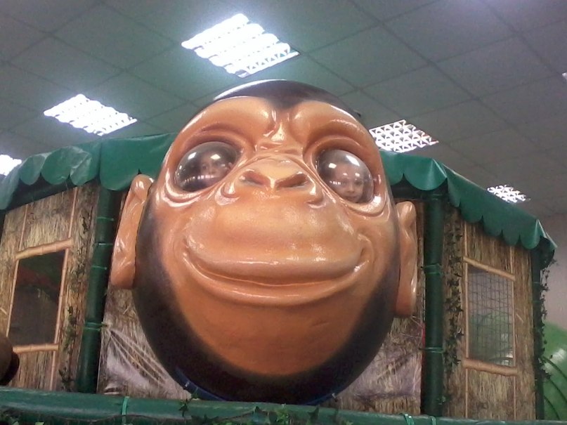 Константин Егоров | Санкт-Петербург