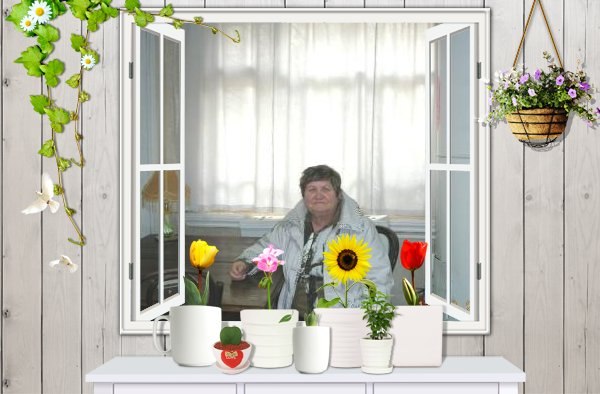 Раиса Корнишова николаевна | Вожега