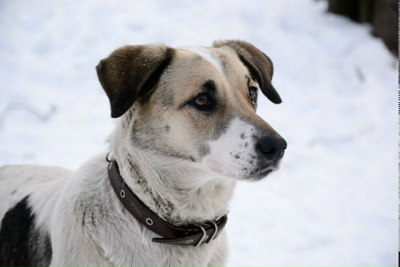 Александр Васильев | Калининград