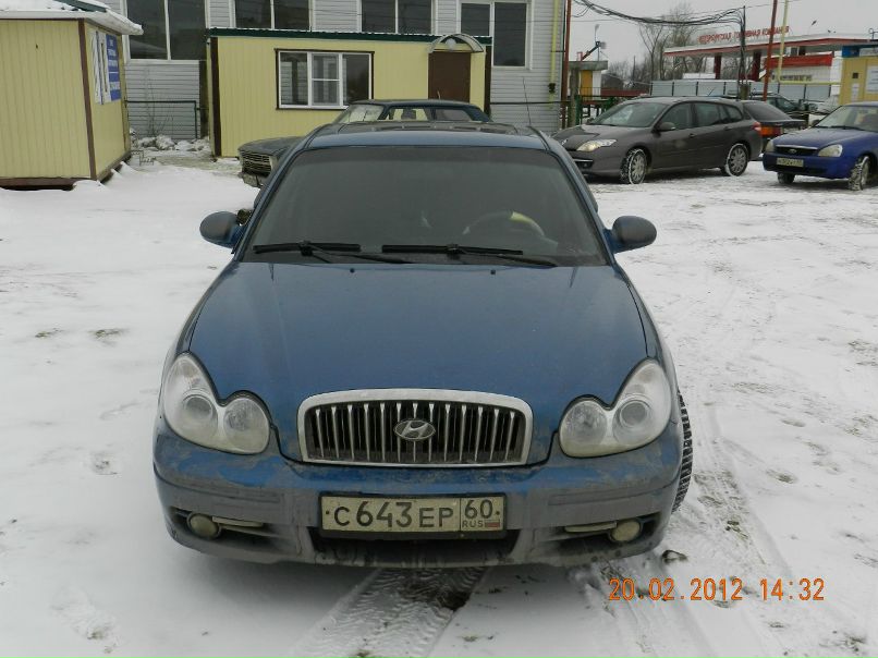 Александр Пектеев | Псков