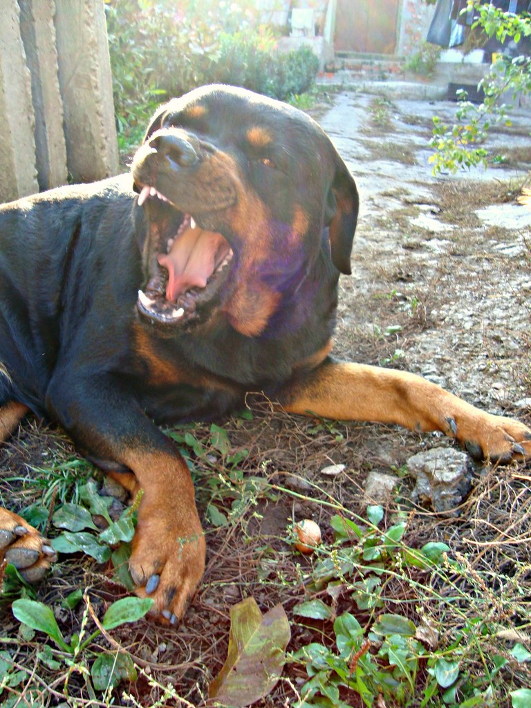 Аня Шаповал | Луганск