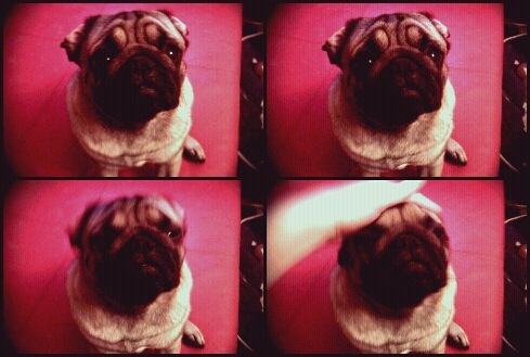 №37, Юлия Листерман, 37 лет, Москва №37, Юлия Листерман, 37 лет, Москва