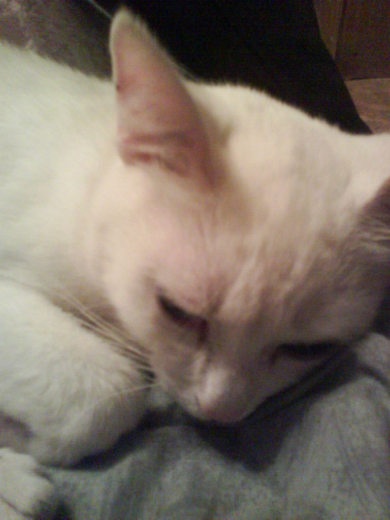 Марина Казбек | Печоры