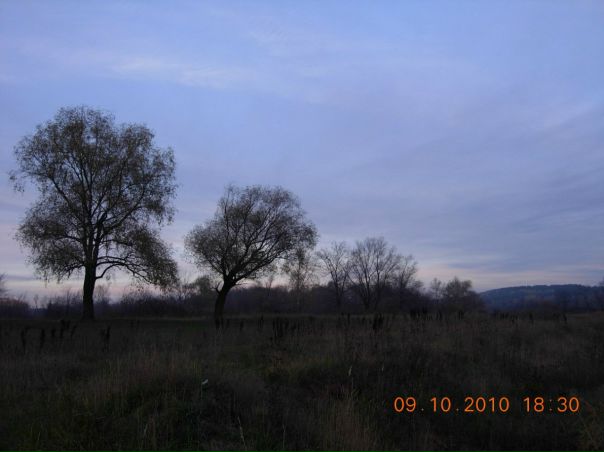 №7, Наталья Баранова №7, Наталья Баранова