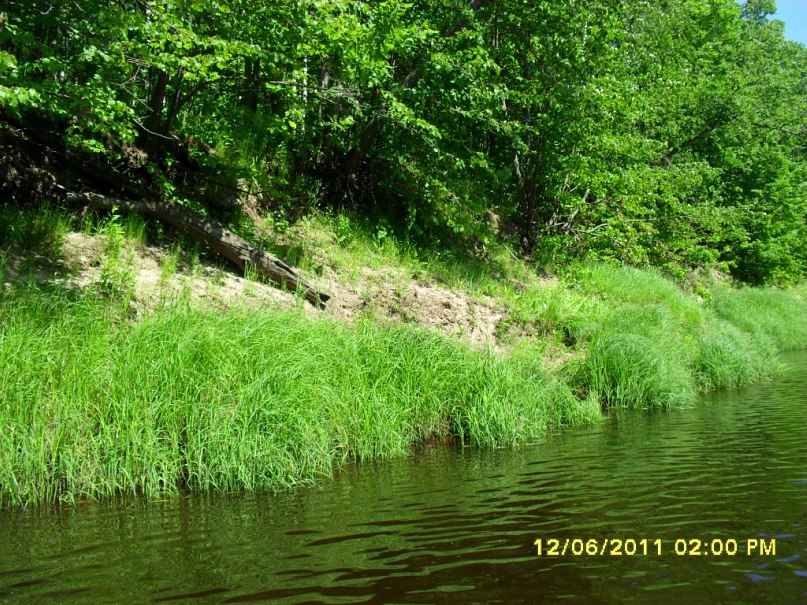 Sergei Shazamov | Нижний Новгород