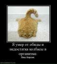 Фотография Алексей Теплов