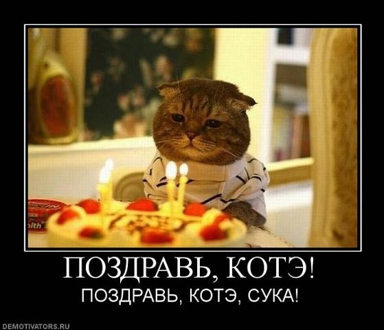 №19, Евгений Петров, 35 лет, Донецк №19, Евгений Петров, 35 лет, Донецк