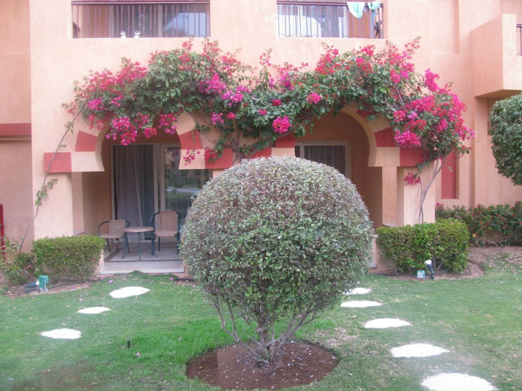 Максим Лукашеня | Барановичи