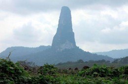 Світлана Недільська | Бережаны