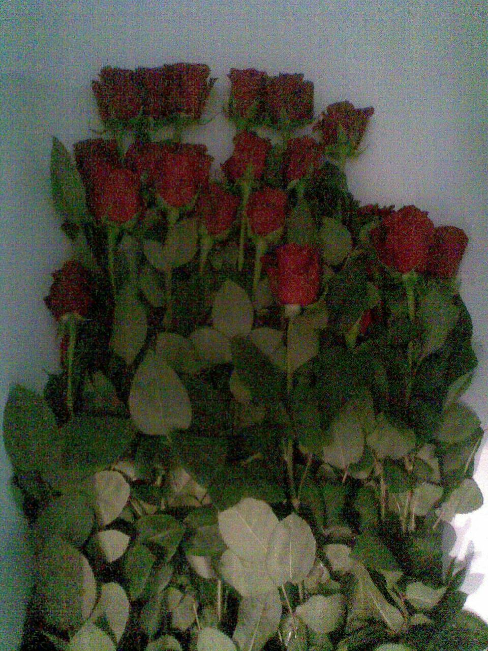 Лёха Сюбаев | Бор (деревня)