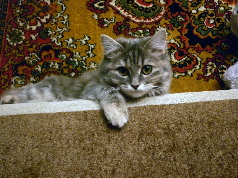 Евгения Кулешова | Тамбов